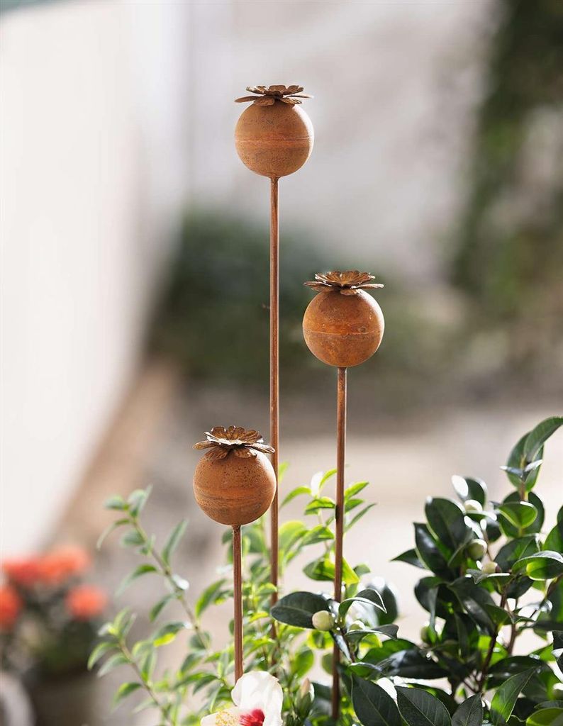 3x fiches de jardin "Coquelicot" en métal avec finition Image du produit 
