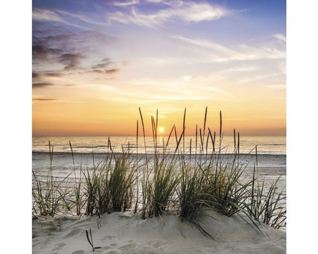 Leinwandbild Lonely Dune 27x27 cm