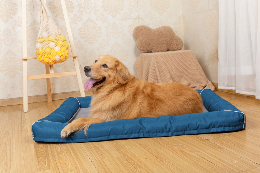 Raikou Hundebett Hundesofa Katzenbett Tierbette Bezug abnehmbar und waschbar Boden wasserabweisend Anti Rutsch Blau Gr. 100*80cm