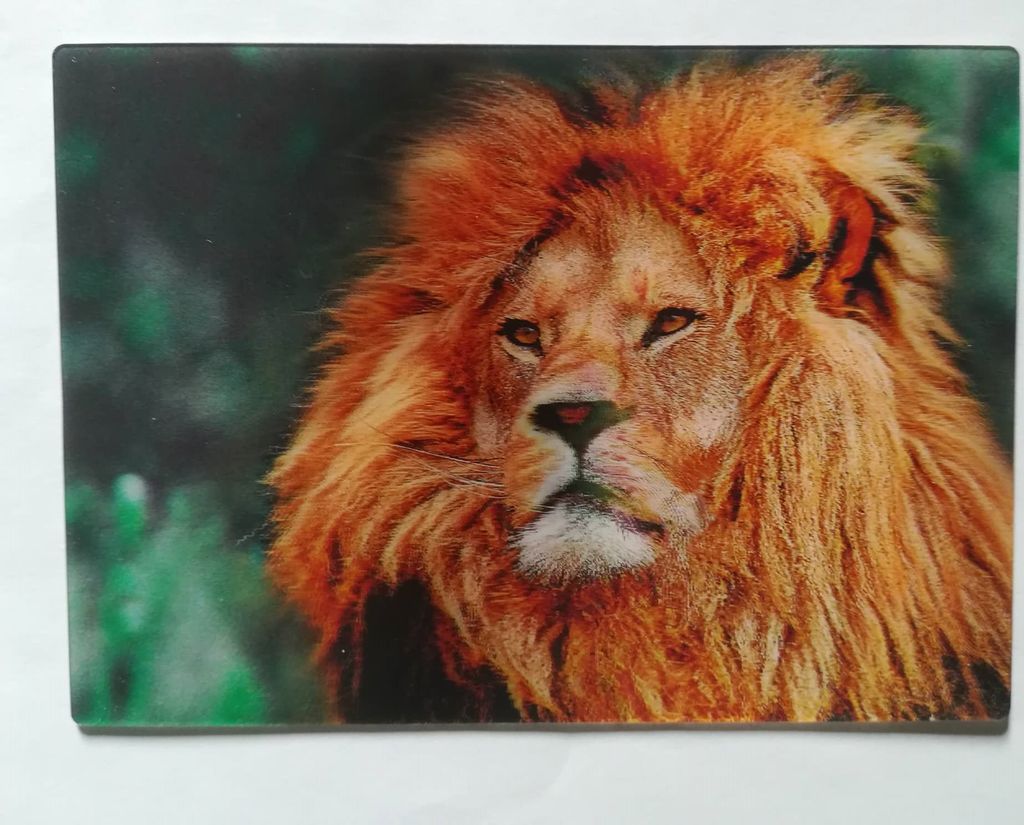 3 D Ansichtskarte Löwe, Postkarte Wackelkarte Produktbild 