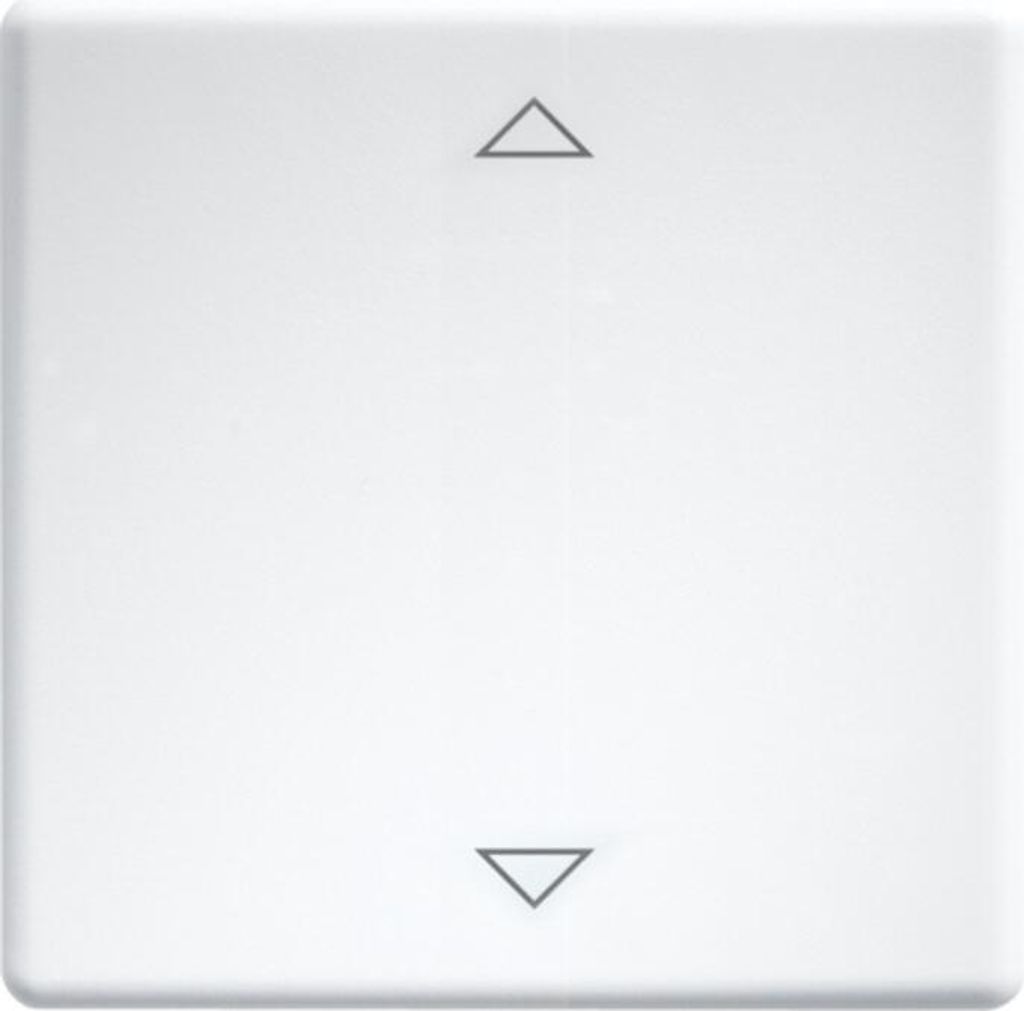 Eltako Wippe lasergraviert f.55x55mm rws W-FT55-wg+2P