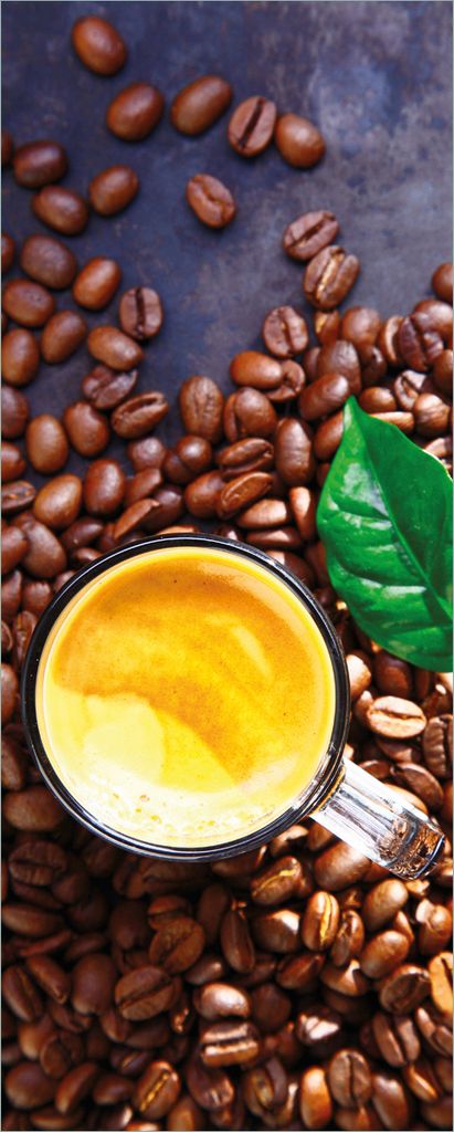 Wallario selbstklebendes Poster - Kaffee und Bohnen, Größe: 80 x 200 cm