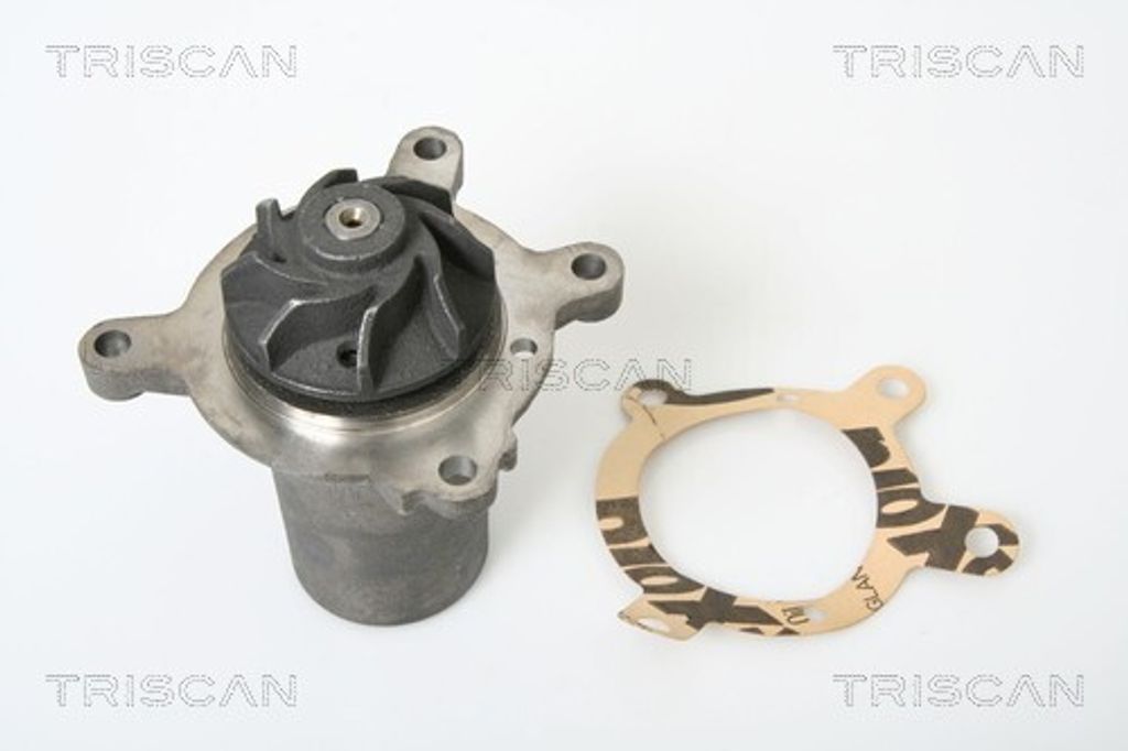 TRISCAN Wasserpumpe 8600 23890