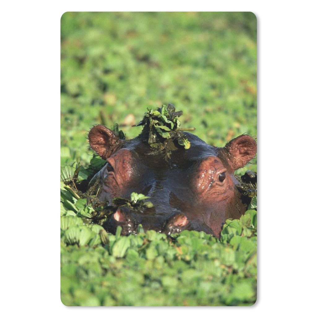 MuchoWow Mauspad Mousepad Nilpferd - Wasser - Pflanzen 40x60 cm - Mousepads - Maus Mat - Pad - Mausunterlage - Schreibtisch Accesoire