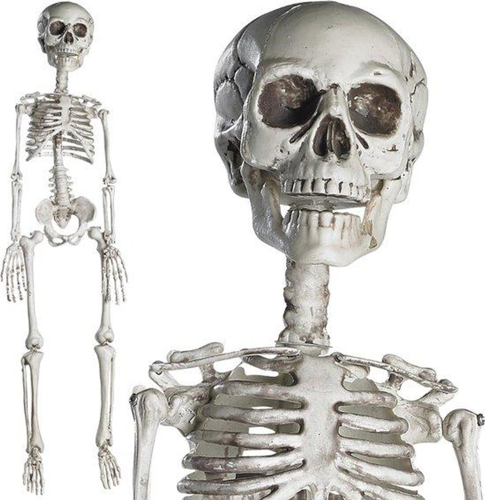 Lebensechtes Skelett, beweglich, für drinnen und draußen, Halloween Deko