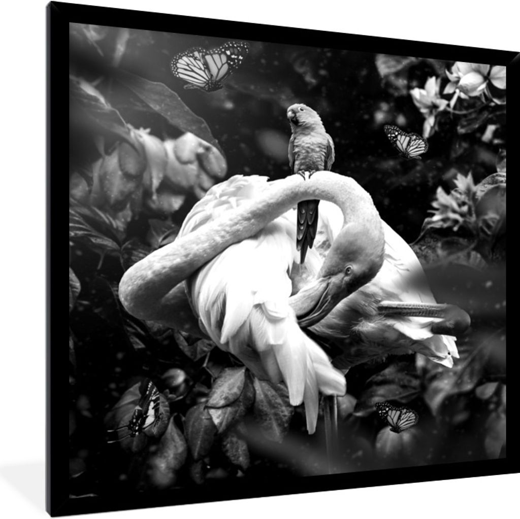 MuchoWow Gerahmtes Poster Pflanzen - Flamingo - Dschungel - Schwarz - Weiß 40x40 cm - Poster mit Schwarzem Bilderrahmen Wandposter Rahmen Foto B...