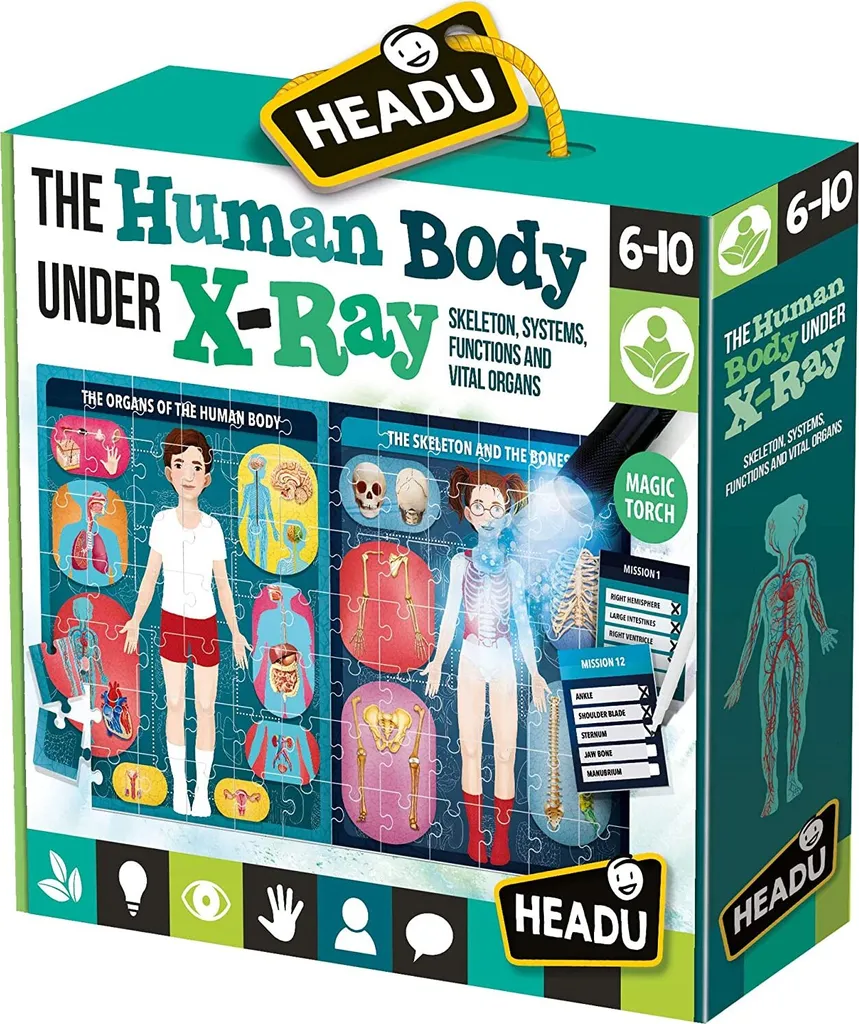 Puzzle Corps Humain Headu EN22762 - Apprendre l'Anatomie en s'Amusant
