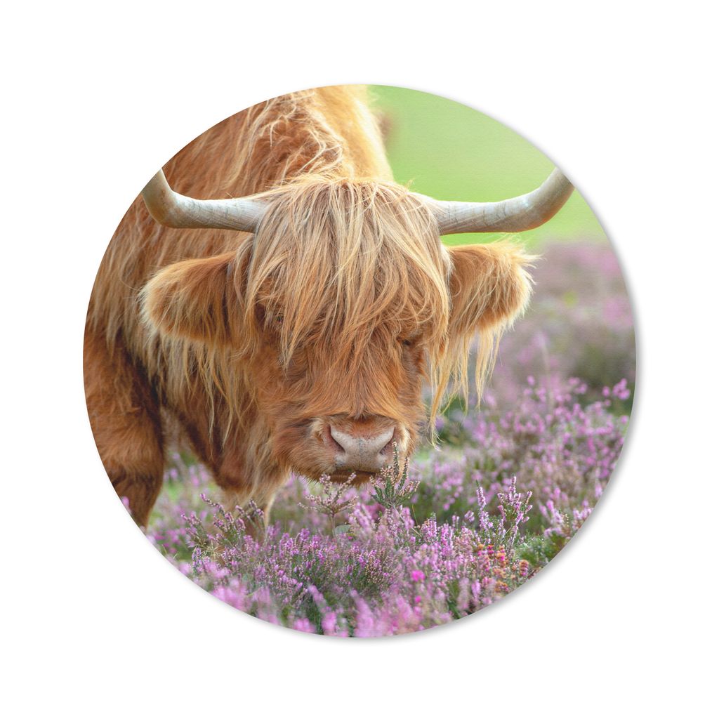 MuchoWow Mauspad Mousepad Schottischer Highlander - Lila - Blumen 50x50 cm - Mousepads - Maus Mat - Pad - Mausunterlage - Vinyl