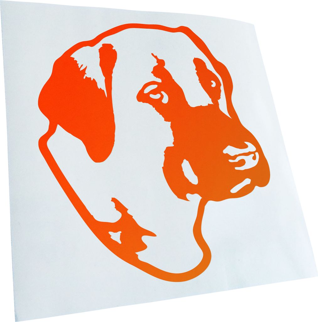 Kiwistar - Autoaufkleber - Anatolian Shepherd Dog - Orange - 10x10cm - Aufkleber für Auto, Laptop, Fahrrad, LKW, Motorrad mehrfarbig JDM Decal Racing