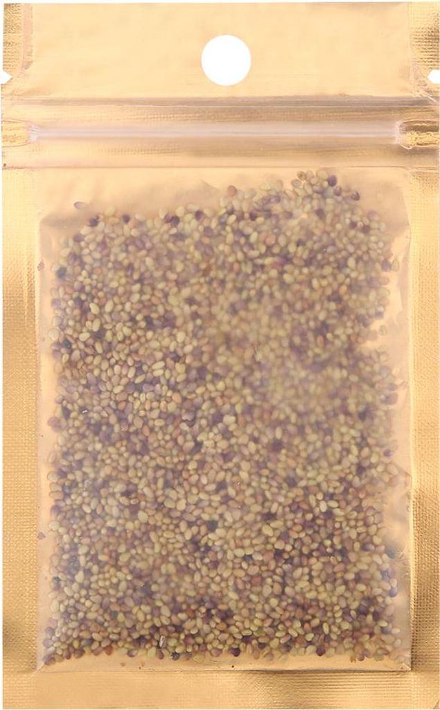 10 g Easy Water Aquatic Live Grow Semi di piante Acquario Immagine del prodotto 
