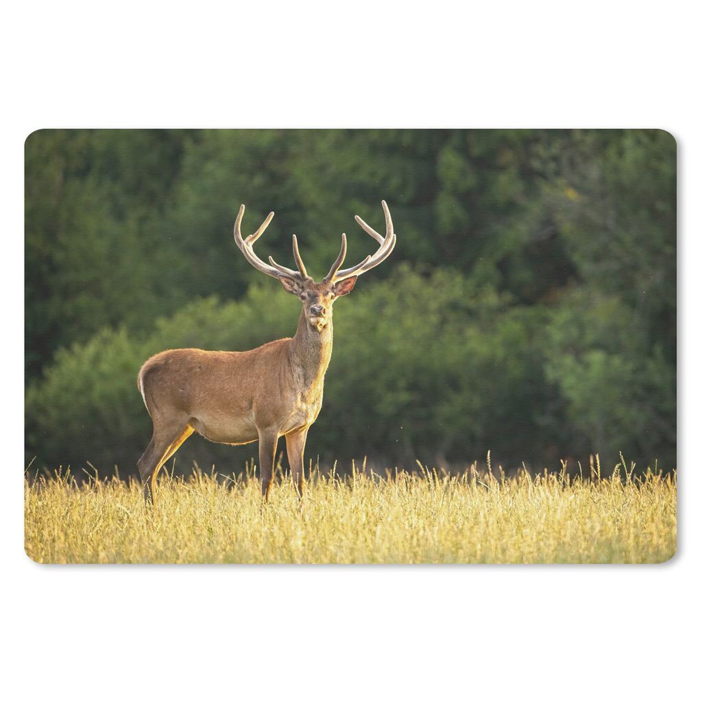 MuchoWow Schreibtischunterlage Hirsch - Geweih - Gras - Natur - Tiere - Grün 60x40 cm - XXL Mauspad - Großes Mauspad