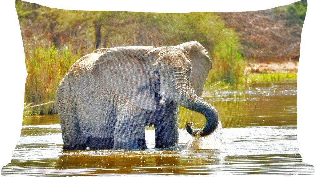 MuchoWow Zierkissen Sofakissen Wohnzimmer Dekokissen 50x30 cm Elefant - Wasser - Tiere - Natur - Wohnzimmerdekoration - Polster mit Photo