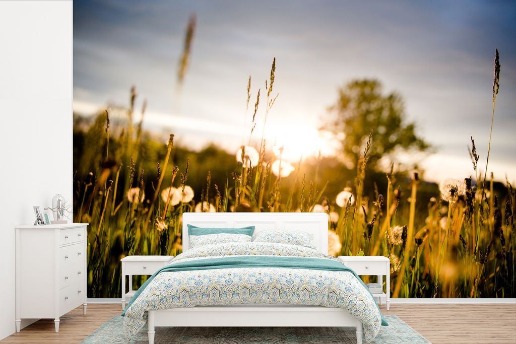 MuchoWow Fototapete für Wohnzimmer oder Schlafzimmer Wandtapete Vinyl Motivtapete Löwenzahn - Gras - Sonnenuntergang - 360x240 cm - Vinyl-Tapete