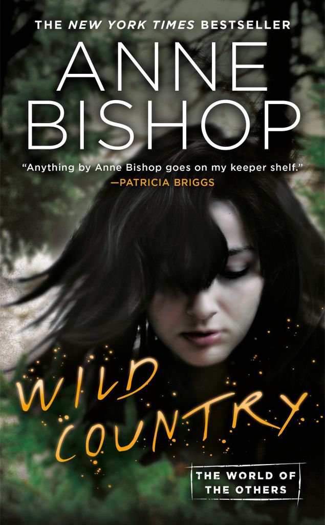 ISBN Wild Country, Englisch, Taschenbuch, 544 Seiten