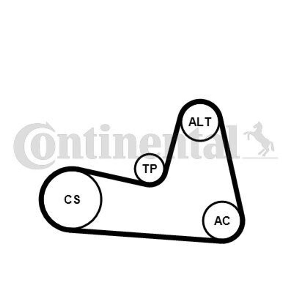 Continental ContiTech 6PK1200K2 Keilrippenriemensatz für RENAULT Clio III Schrägheck (BR0/1, CR0/1) TWINGO II (CN0) CLIO II (BB0/1/2, CB0/1/2) KA...