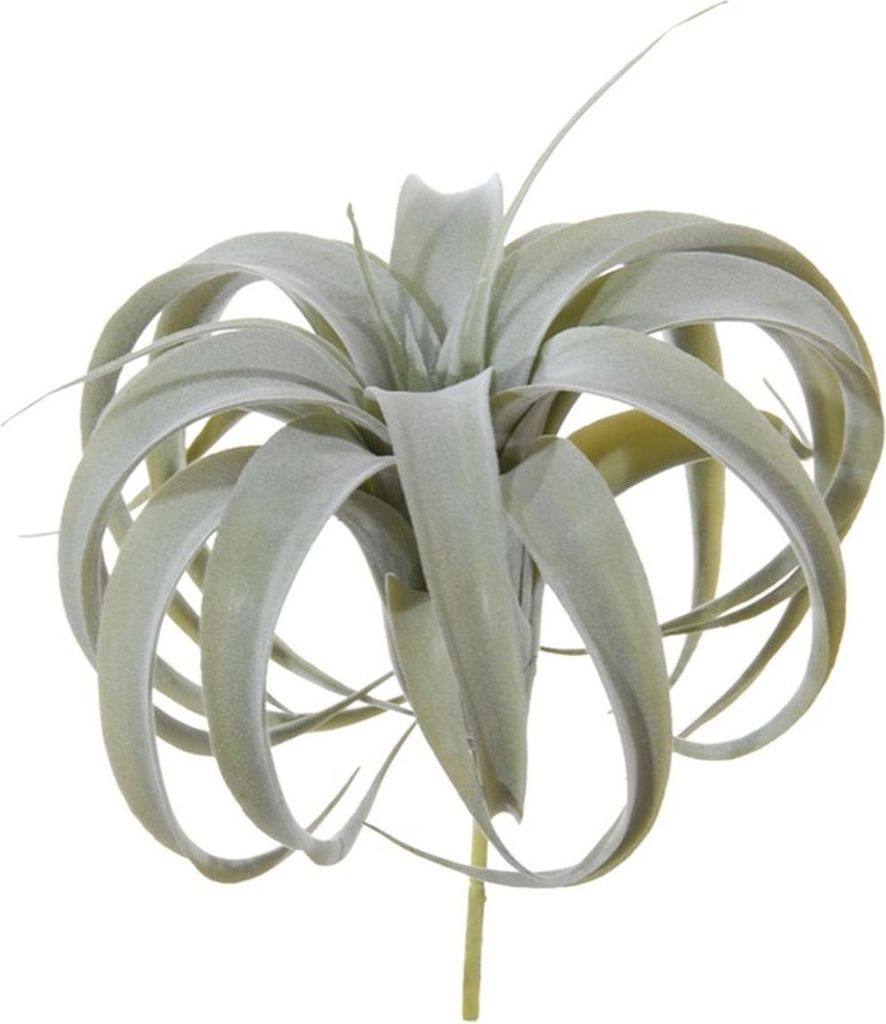 artplants.de Künstliche Pflanze Tillandsia Xerographica KASTIEL, Steckstab, grau-grün, 23cm - Deko Tillandsia