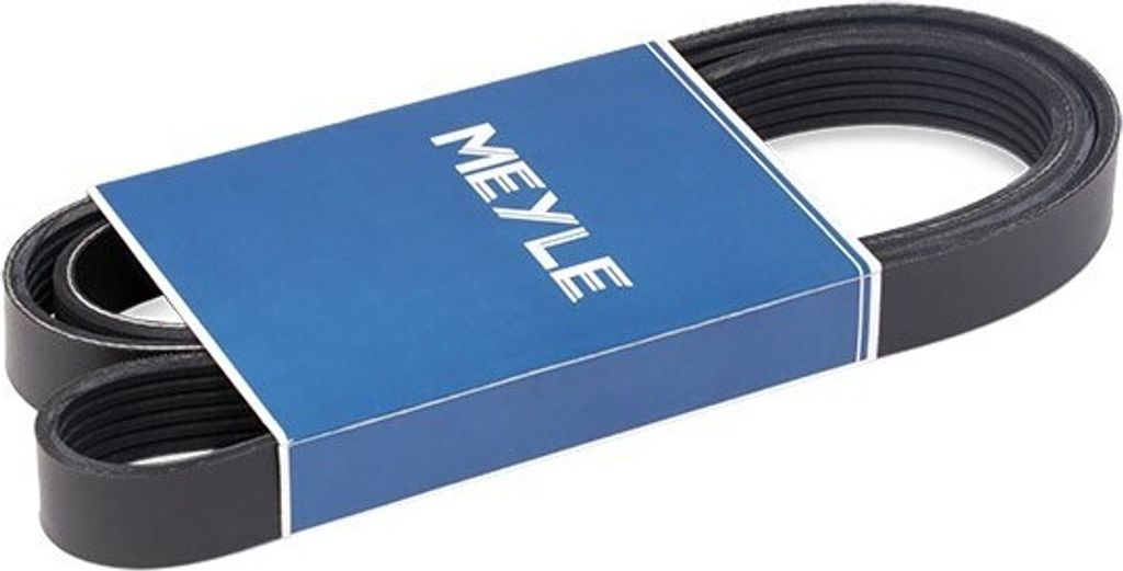 MEYLE Keilrippenriemen 1560mm für FORD SIERRA (GBG, GB4) 050 006 1560