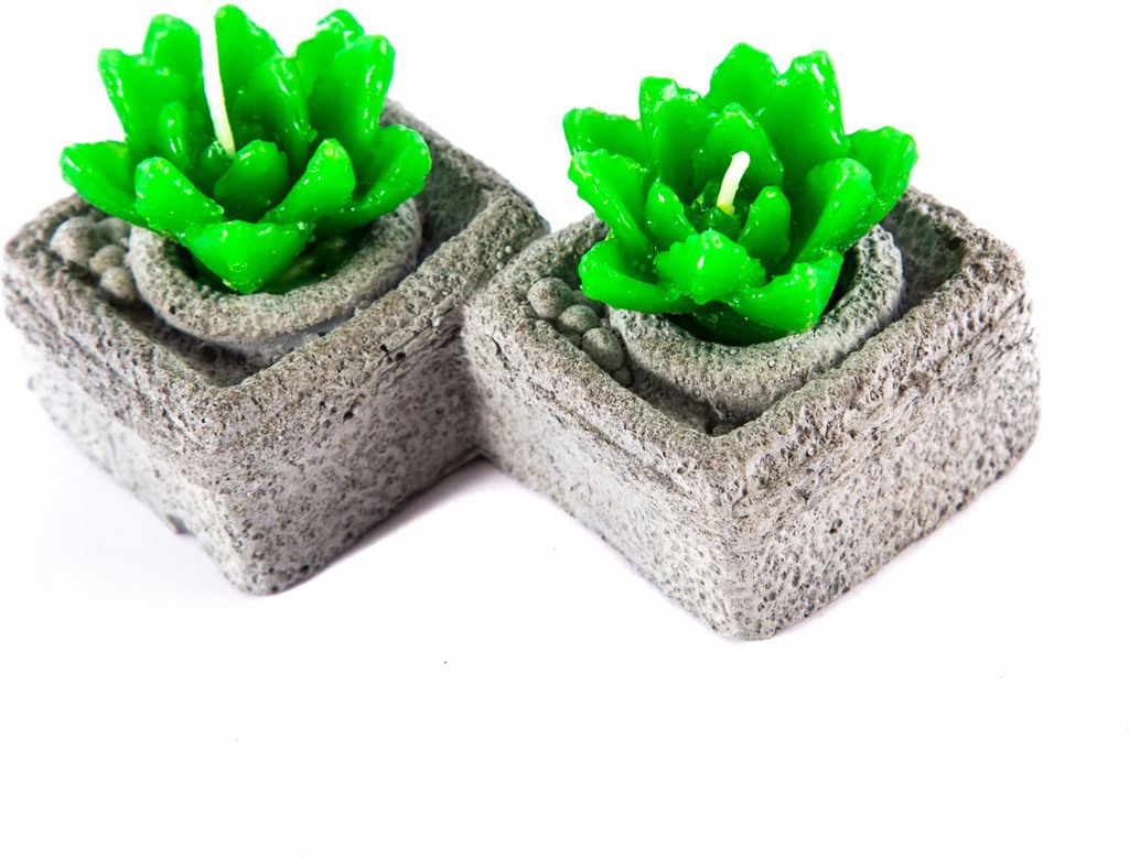 Kaktus Kerzen 2er Set im Steintopf Deko Pflanzenkerze Geschenkidee Grün Wohnaccessoire
