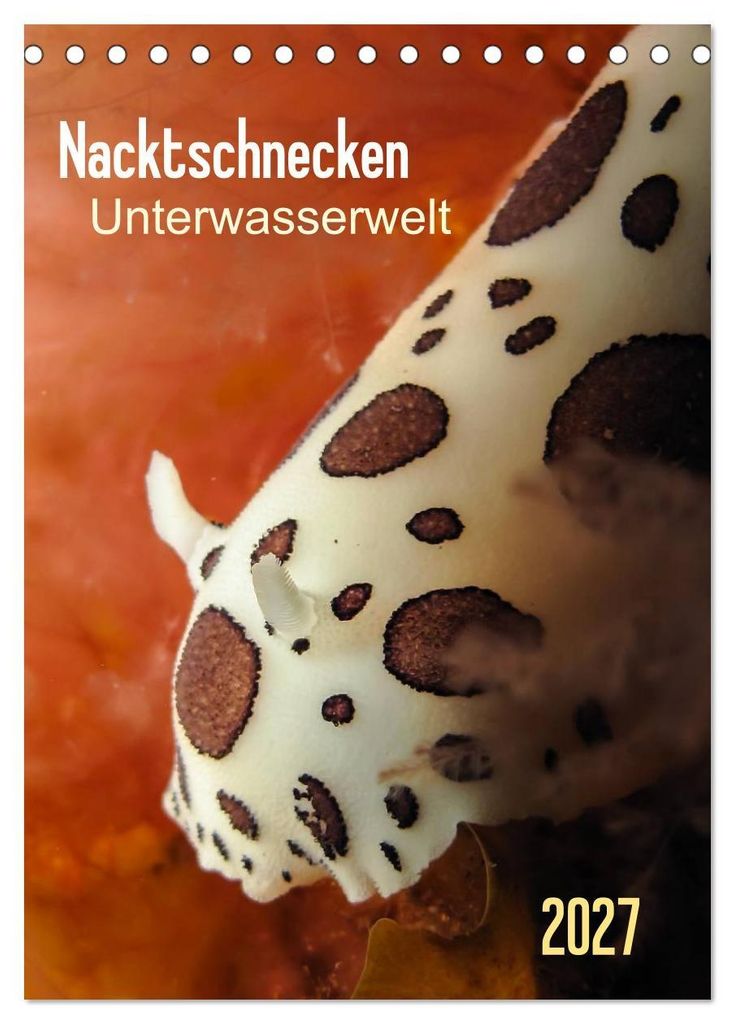 Nacktschnecken - Unterwasserwelt 2027 (Tischkalender 2027 DIN A5 hoch), CALVENDO Monatskalender