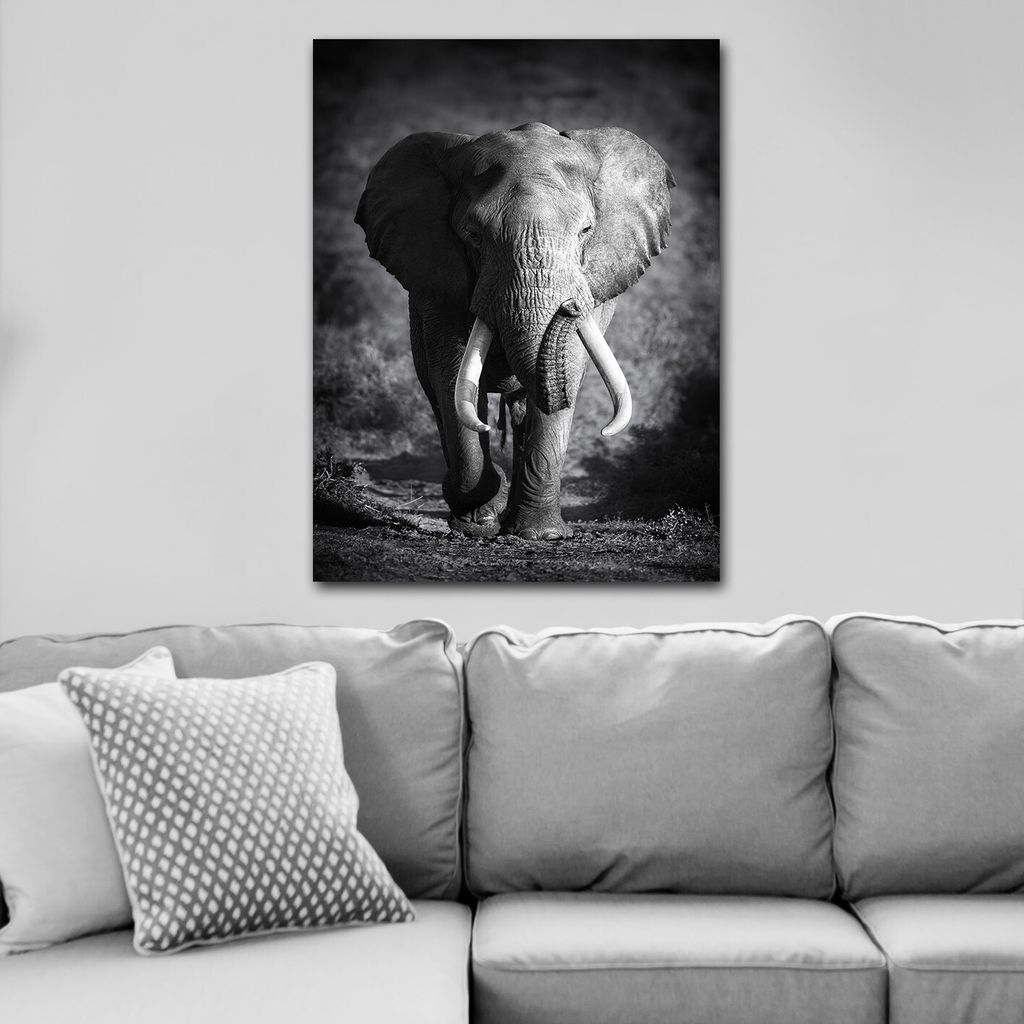 Wallity, 117747946_70100- HPE1154, Bunt, Leinwandbilder, 70 x 100 cm, 100% Leinwand