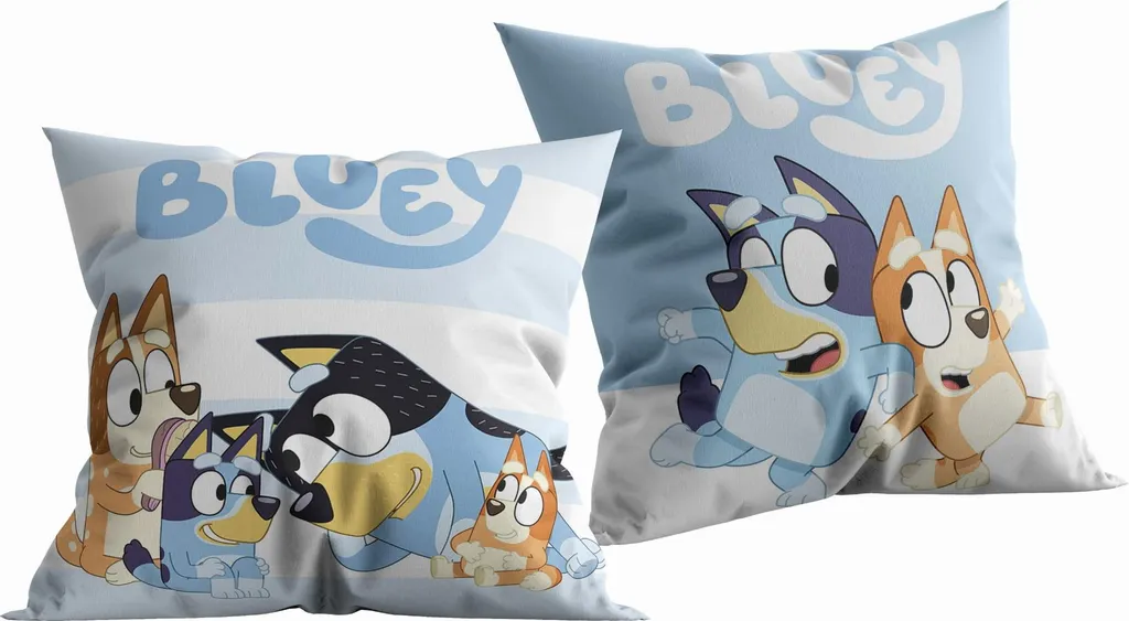 Coussin Bluey pour coin lecture enfant - Dimensions 40x40 cm carré