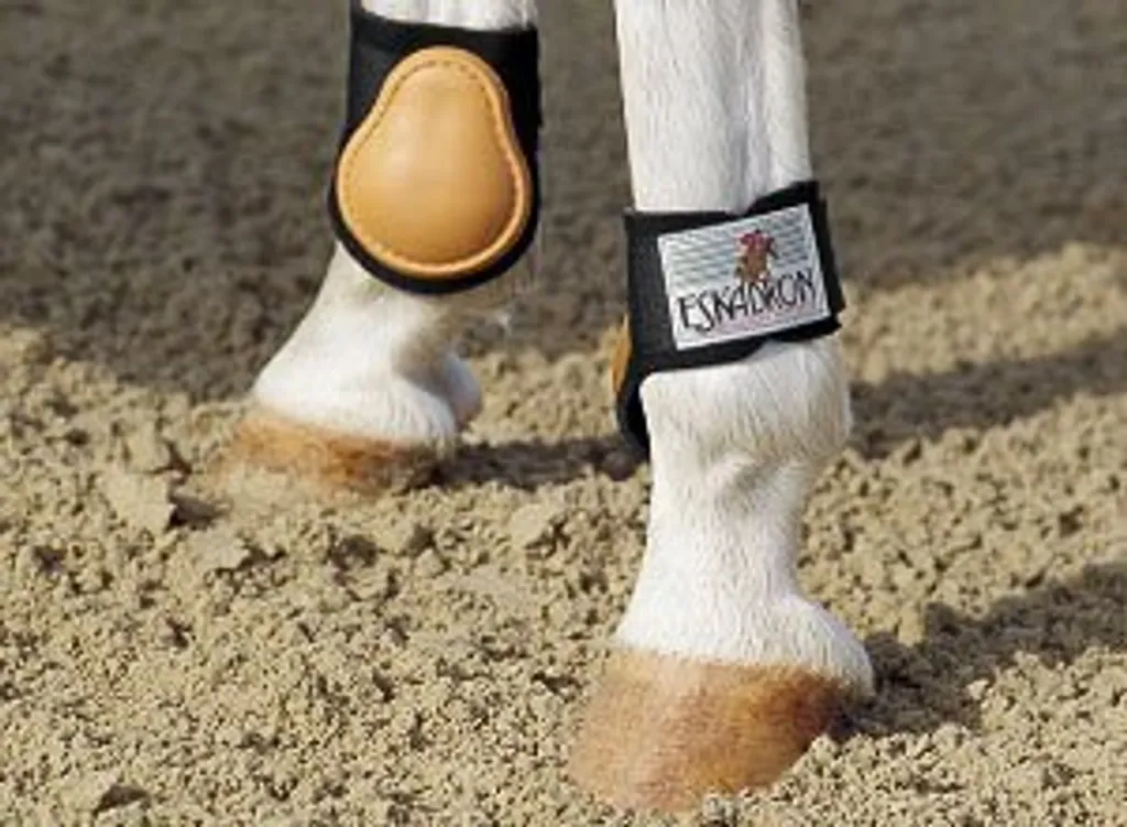 Recensione Eskadron Fetlock Boots Pony | Analisi Tecnica Protezioni