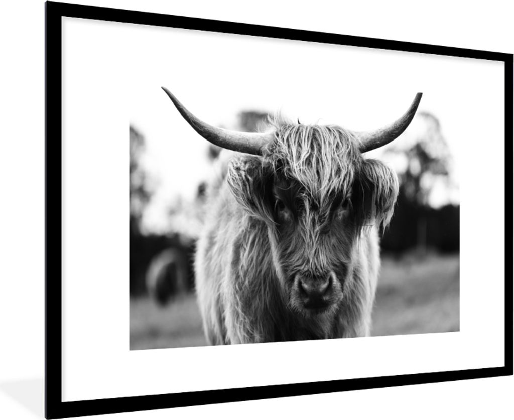 MuchoWow Gerahmtes Poster Schottischer Highlander - Kuh - Gras - Tiere - Natur 90x60 cm - Poster mit Schwarzem Bilderrahmen Wandposter Rahmen Fot...