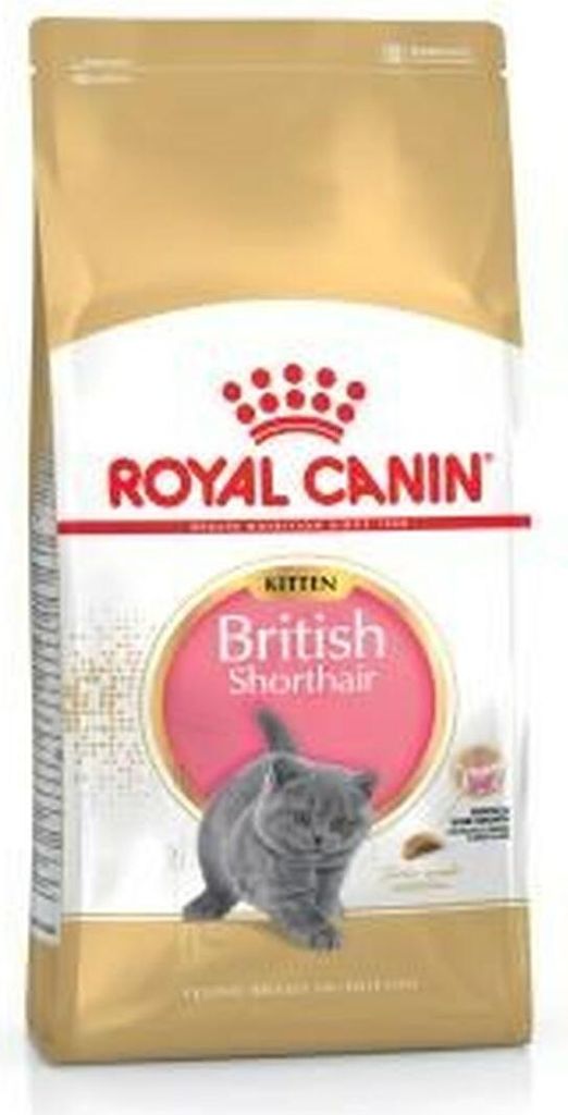 Royal Canin British Shorthair Kitten cibo secco per Immagine del prodotto 