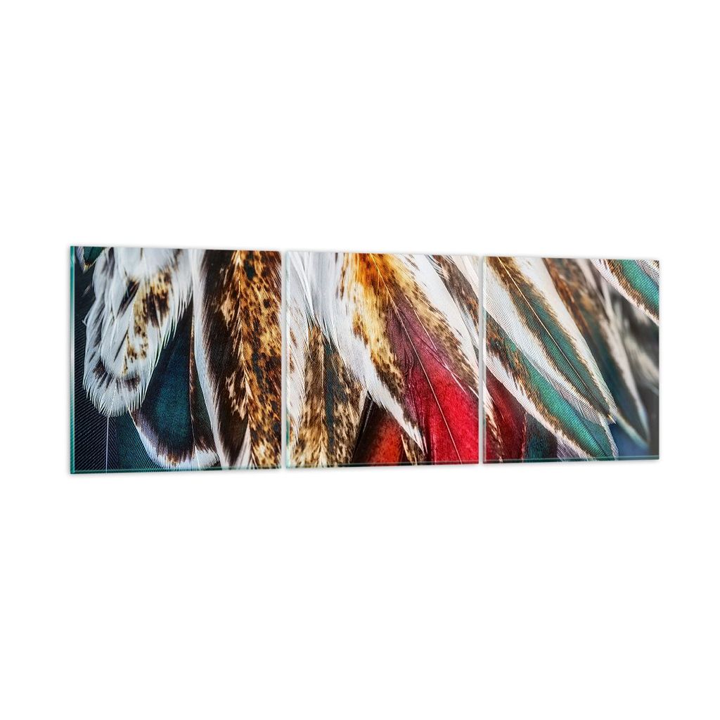 Bilder auf glas - Federn Federn Vogel - 90x30cm - Glasbilder - Wandbilder - Kunstdruck - zum Aufhängen bereit - Wanddekoration aus Glas - Glas Bil...