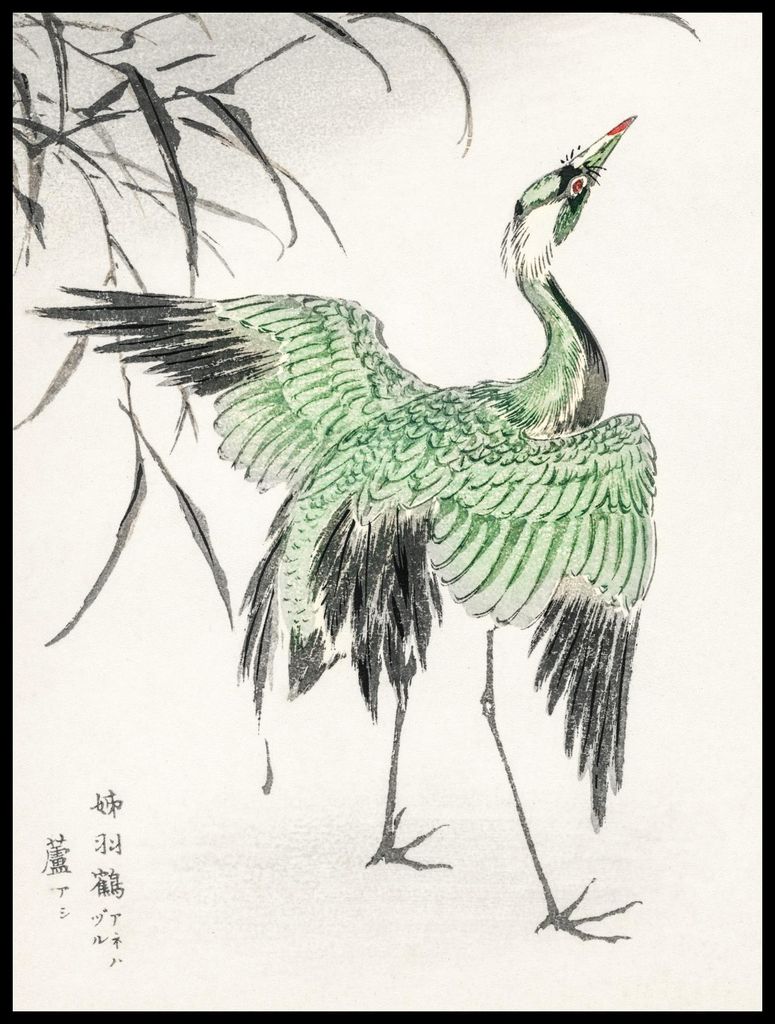 Plakat 60x80cm Demoisellekranich, Japanischer Vintage Kashu für das Wohnzimmer