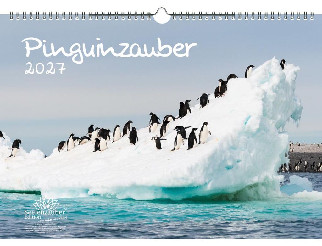 Pinguinzauber DIN A3 Kalender für 2027 Pinguin - Seelenzauber