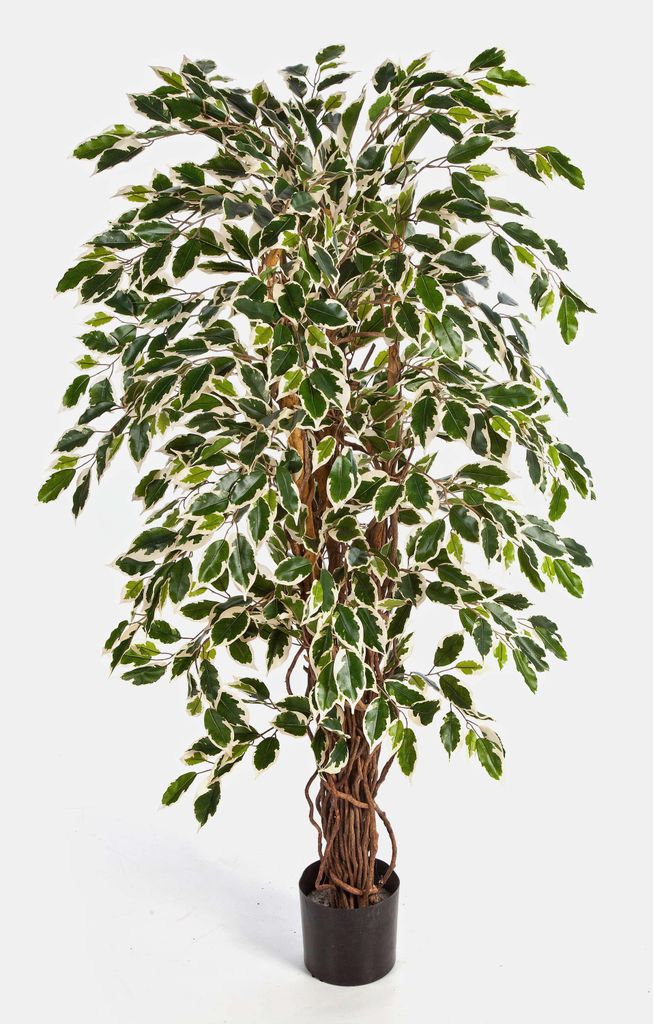 artplants.de Deko Ficus JARLAN, 430 Blätter und lianenartigem Stamm, grün-weiß, 120cm - Kunst Ficus - Baum künstlich