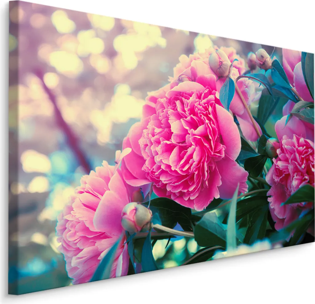 Offerta Quadro Peonie XXL 120x80 cm - Tela Arredo Casa Alta Qualità