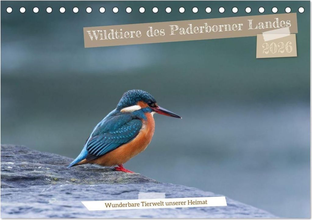 Wildtiere des Paderborner Landes (Tischkalender 2026 DIN A5 quer), CALVENDO Monatskalender