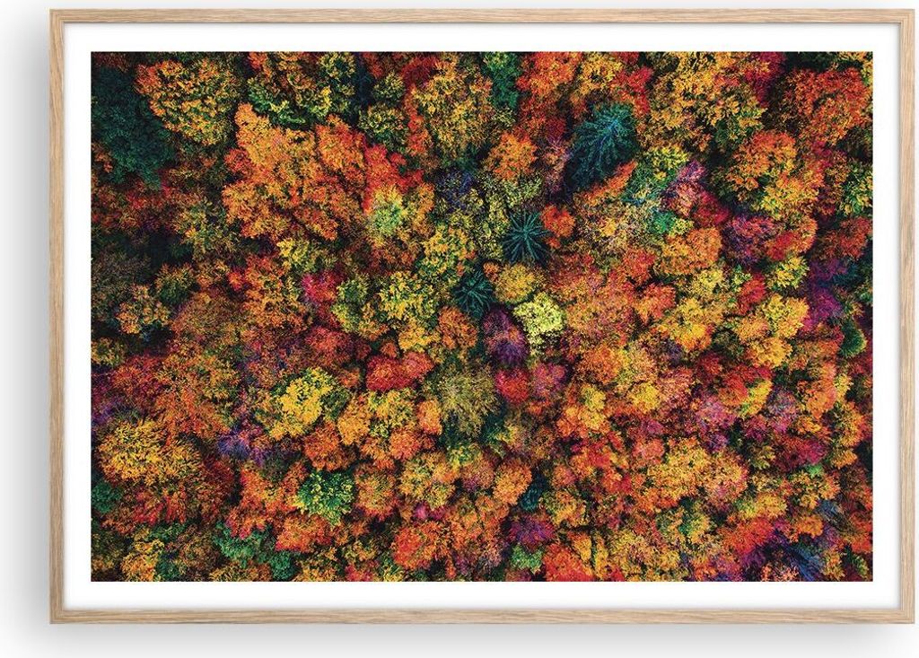 Gerahmtes Poster - Rahmen in heller Eiche - Herbst Perspektive Vogel - 100x70 cm - Wand Bild - Wanddeko - Wandbilder - Kunstposter - Wandposter - B...