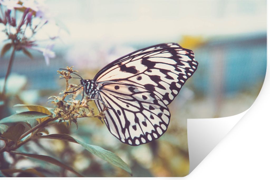 MuchoWow Wandtattoo Wandsticker Wandaufkleber Schmetterling - Blumen - Frühling 60x40 cm Selbstklebend und Repositionierbar - Wierderverwendbar ...