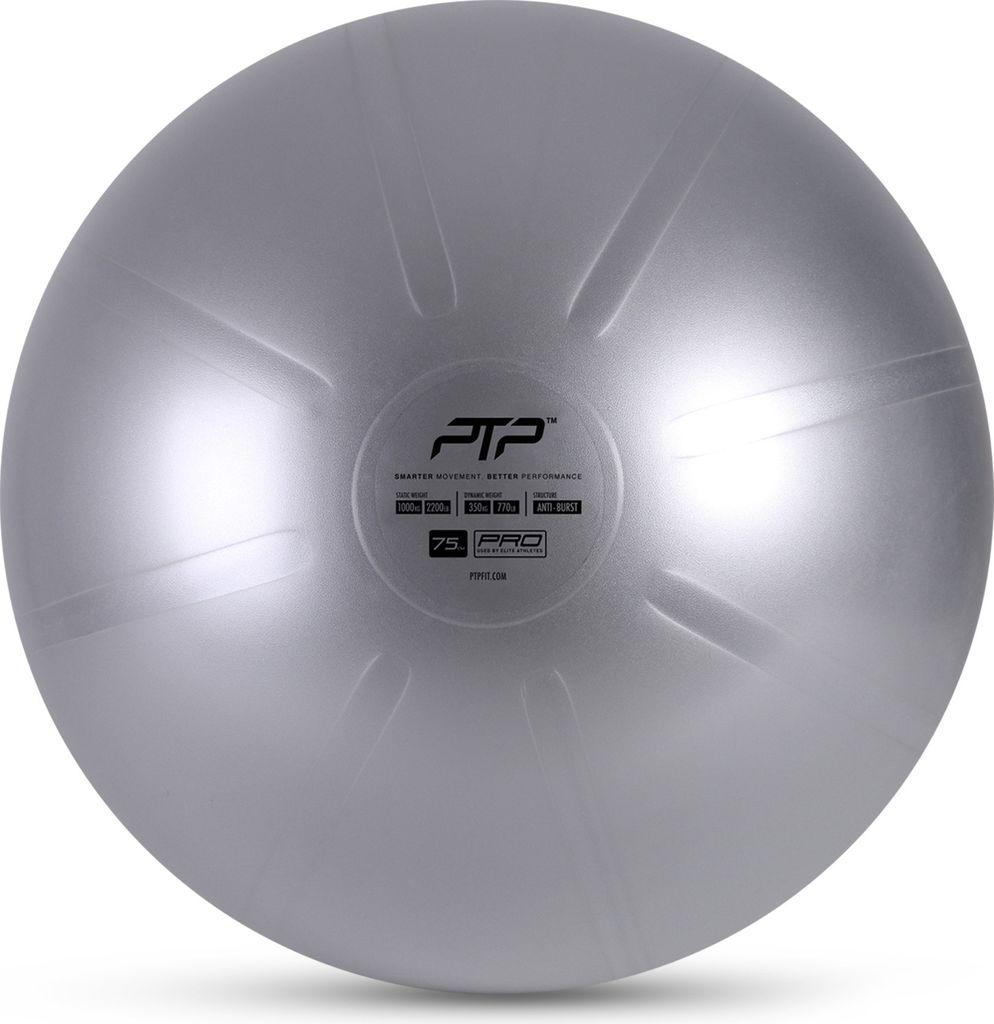 Ptp 1531 Coreball 4618 Psteel Grey 75 Productafbeelding 
