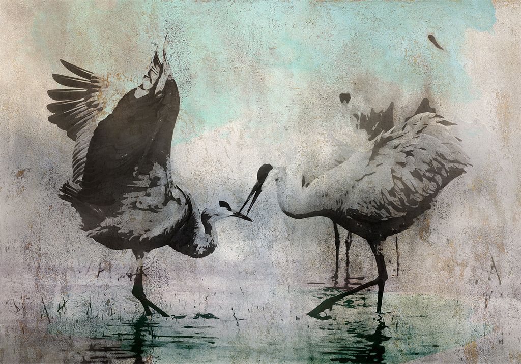 Vlies Fototapete Natur 400x280 cmTapeten Wandtapete XXL Kräne Vögel Betonoptik wie gemalt g-C-10027-a-a