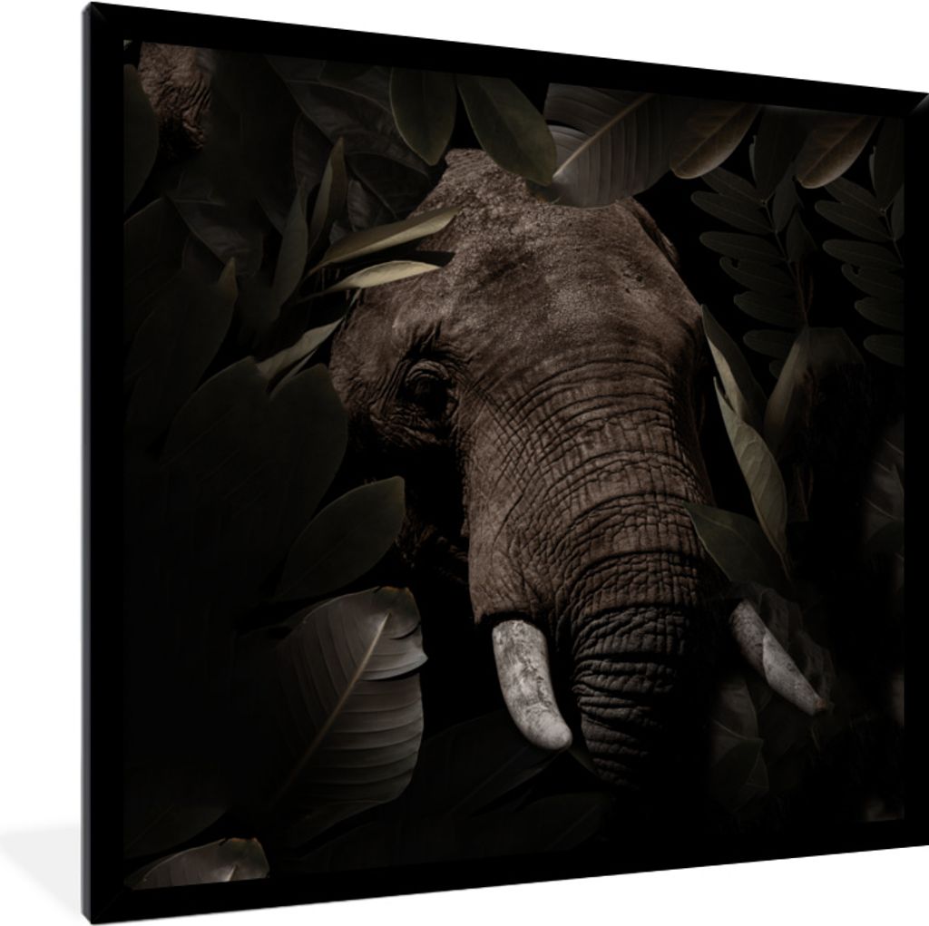 MuchoWow MuchoWow Gerahmtes Poster Elefant - Tiere - Blätter - Botanisch 40x40 cm - Poster mit zchwarzem Bilderrahmen - Mit Rahmen - Wanddekor...
