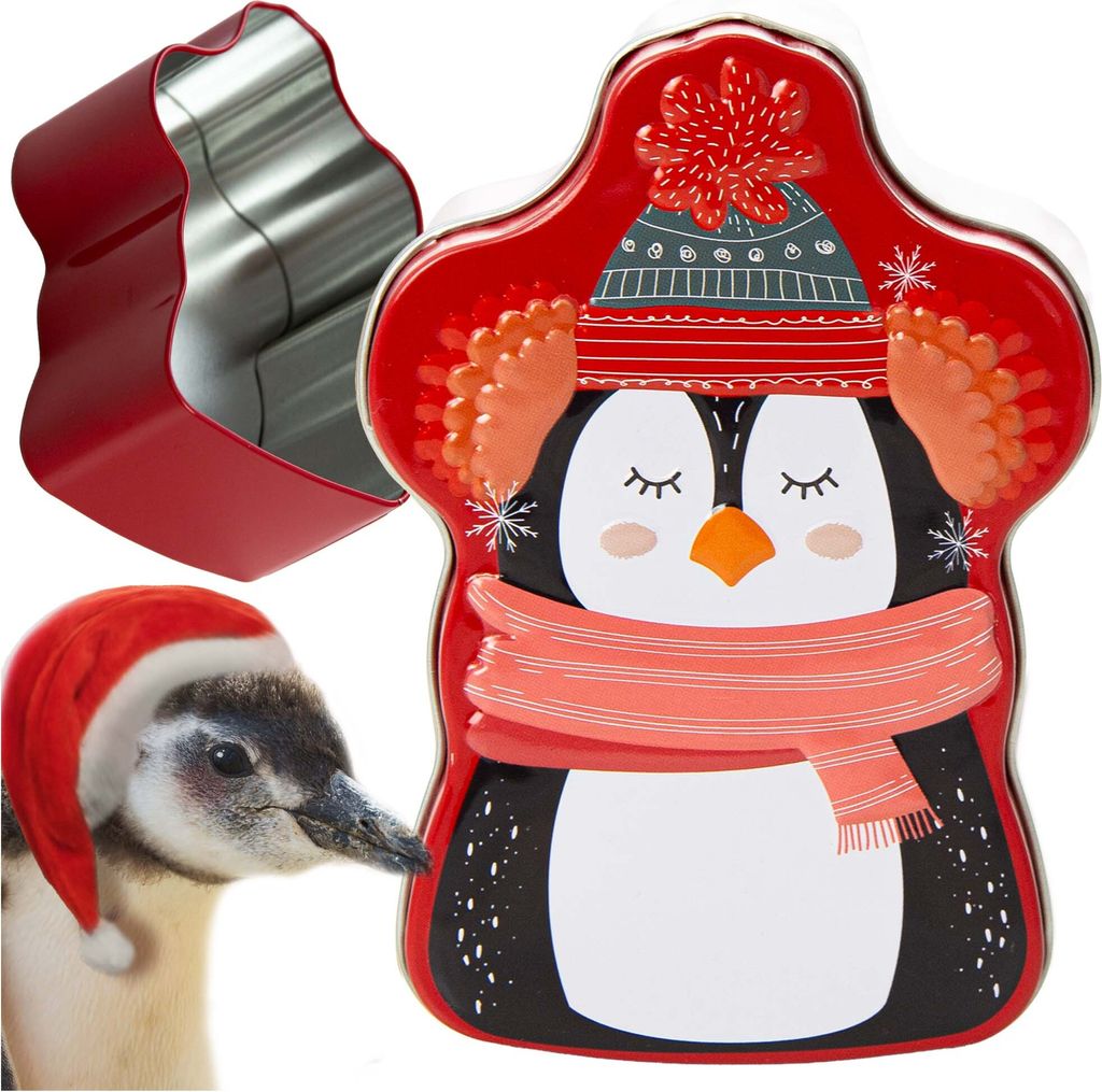 Boîte en fer-blanc de Noël 9X13 Cm Pour Gâteaux, Sucreries, Image du produit 