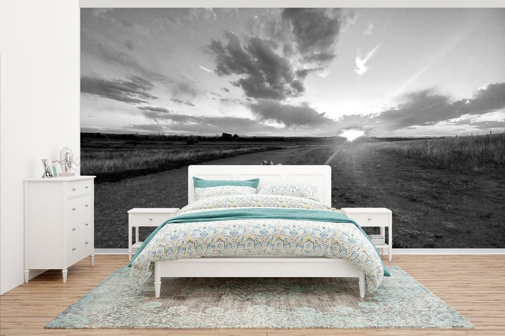 MuchoWow Fototapete für Wohnzimmer oder Schlafzimmer Wandtapete Vinyl Motivtapete Pomsky unter der aufgehenden Sonne - schwarz und weiß - 500x2...