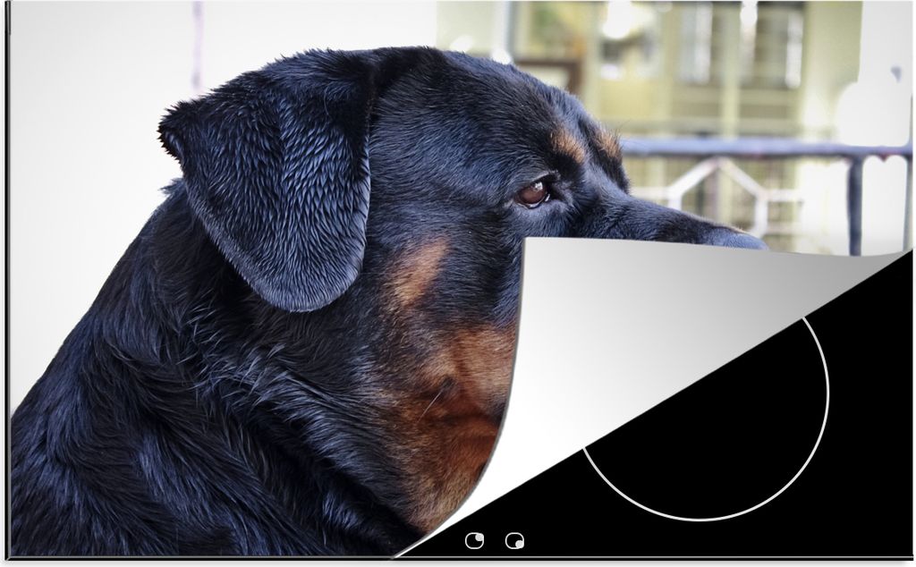 KitchenYeah Herdabdeckplatte Seitenansicht des Kopfes eines Rottweilers , 78x52cm, Küche Deko, Glaskeramikfeld Herdabdeckung, Abdeckplatte fùr ...