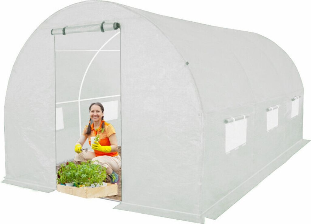 4iQ Gewächshaus Folientunnel 2,5x4m Weiß