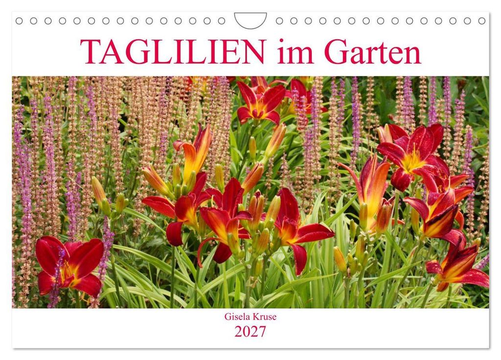 Taglilien im Garten (Wandkalender 2027 DIN A4 quer), CALVENDO Monatskalender