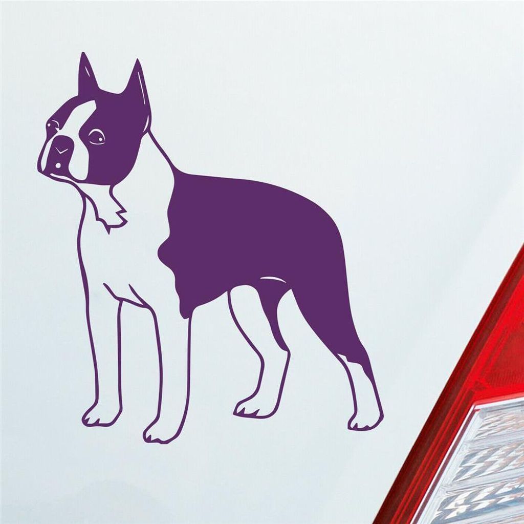 Auto Aufkleber Boston Terrier Hund Dog Animal 12x10 cm Lila Sticker Heckscheibenaufkleber