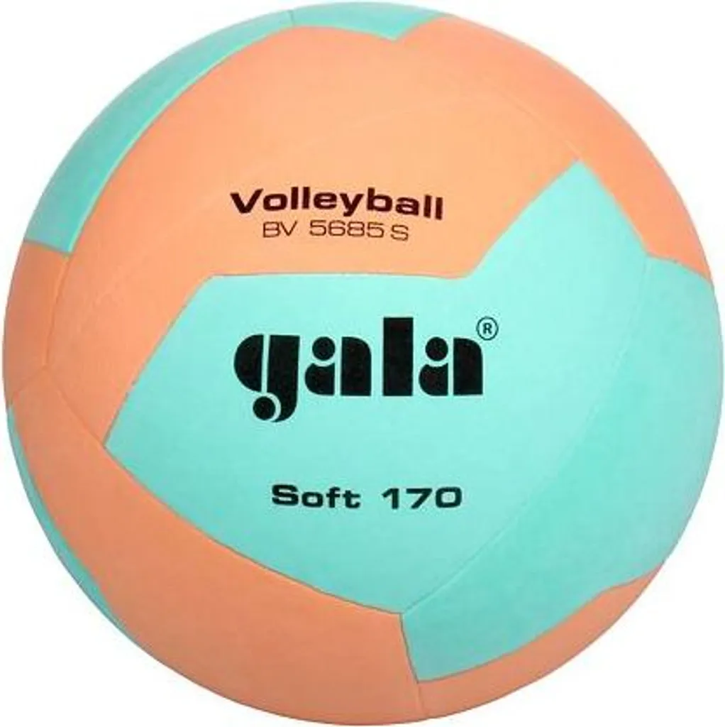 Ballon de Volleyball Indoor Gala Soft 170 pour Club et Milieu Scolaire