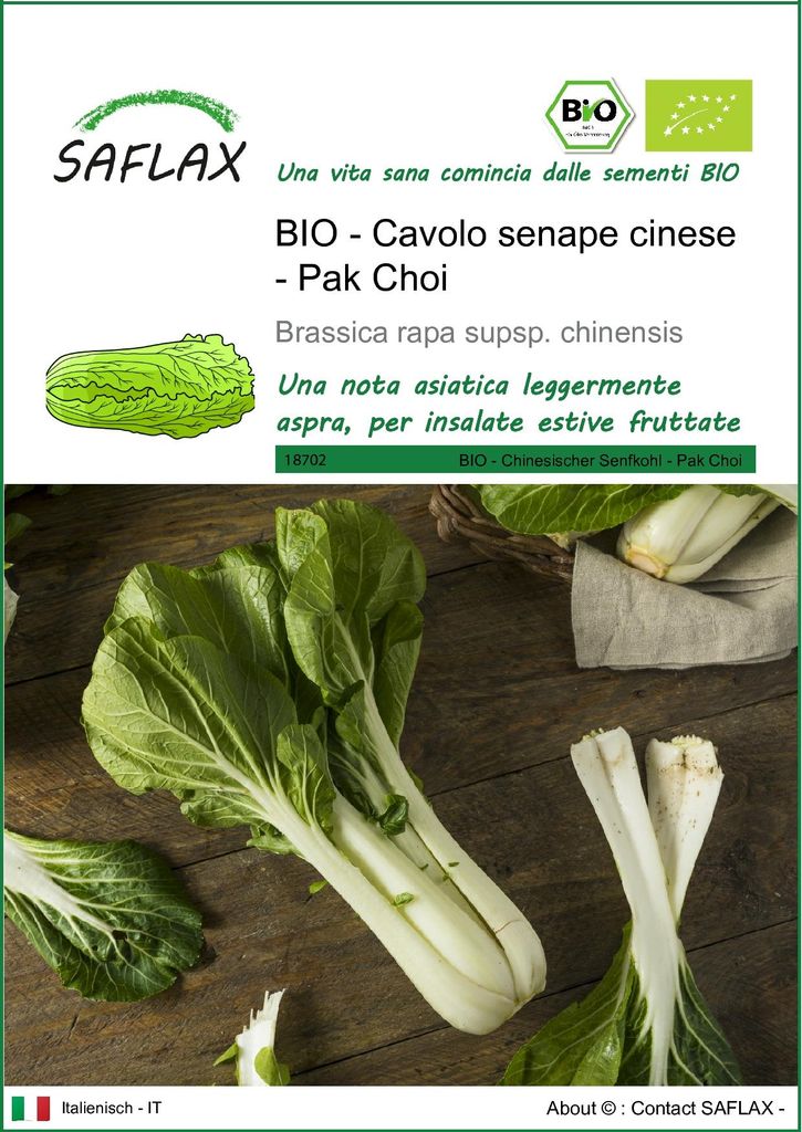 SAFLAX  -- Cavolo senape cinese - Pak Choi - 300 semi - Immagine del prodotto 