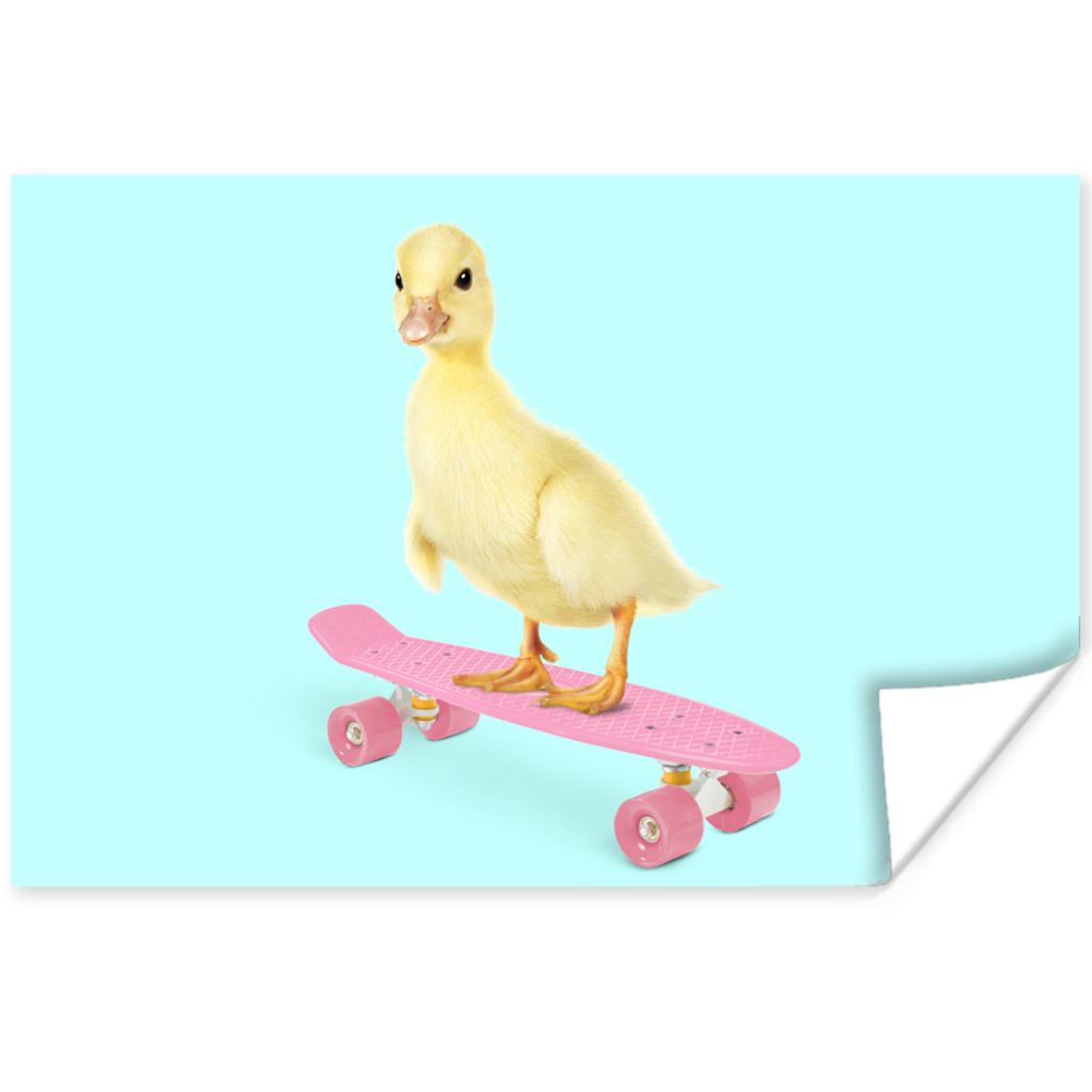 MuchoWow Poster Ente - Küken - Skateboard - Blau - Rosa 30x20 cm - Plakate - Print