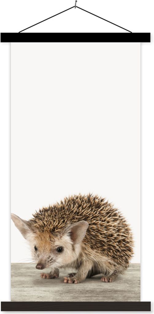 MuchoWow Textilposter Igel - Tiere - Jungen - Mädchen 40x80 cm mit schwarzem Rahmen - Wandemalerei