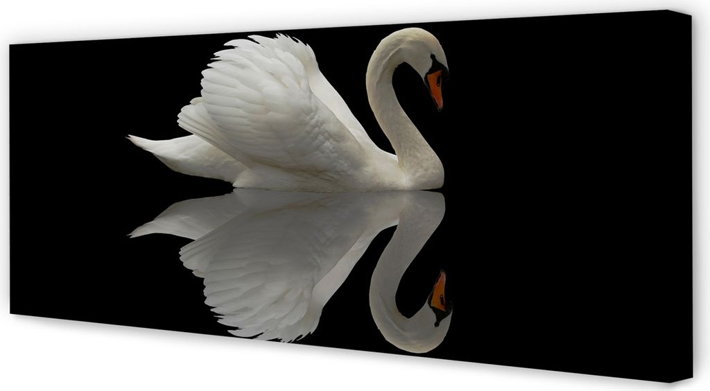 Leinwandbild 125x50 Wandkunst Schwan in der Nacht
